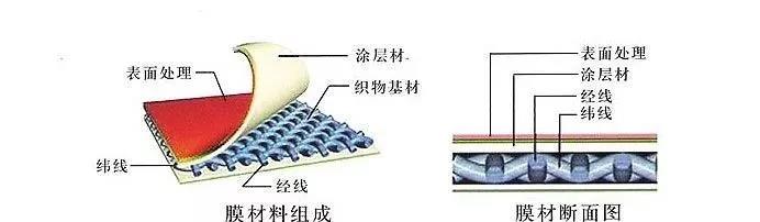 长知识！什么是膜结构？(图6)