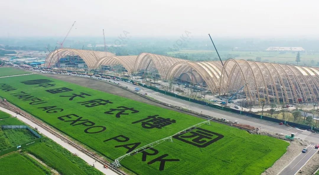 木结构+ETFE——天府农博园(图1)